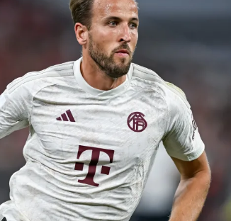 僅是兩位頂 僅是兩位頂