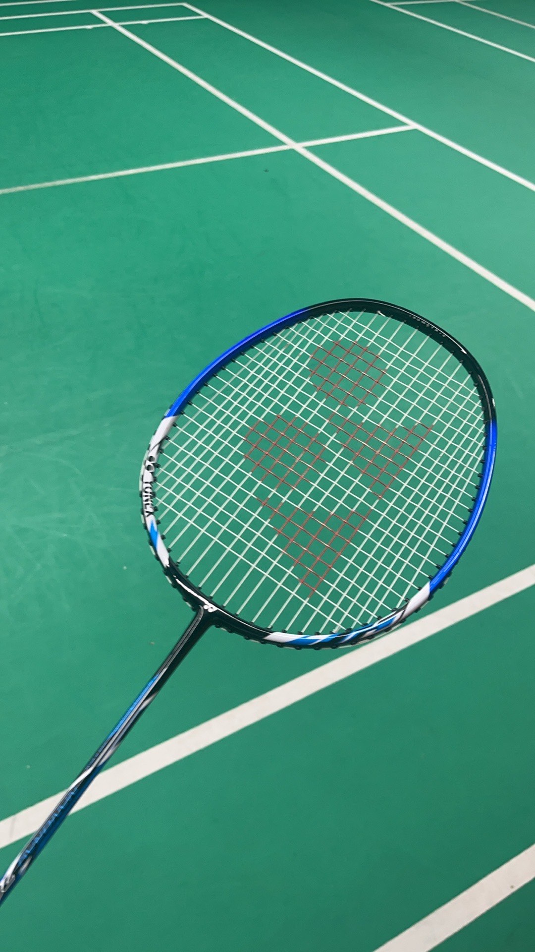 郑钦文利用 郑钦文利用