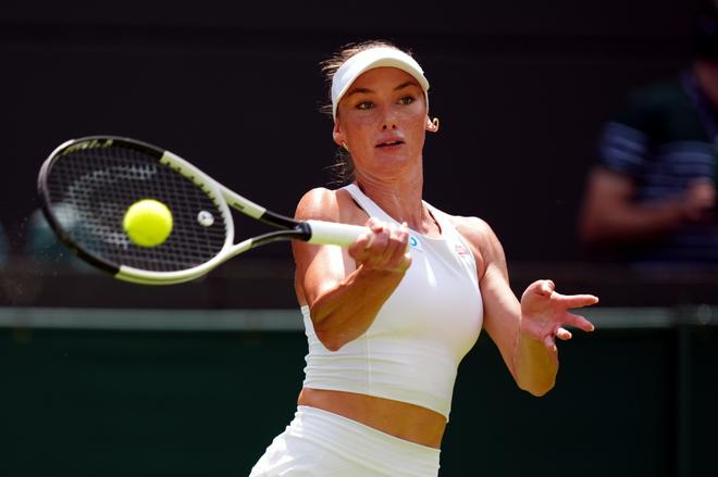 的稳定性与 的稳定性与